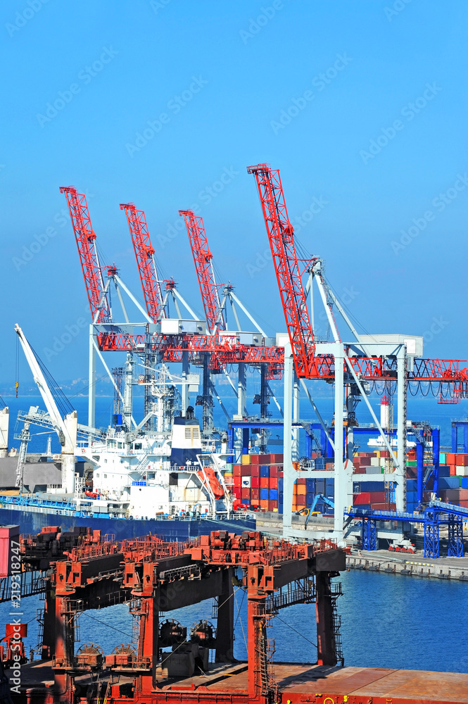 Cargo cranes and bulker