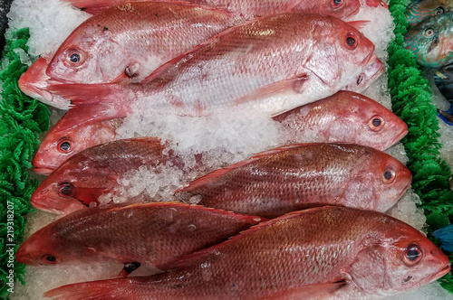 Εκτύπωση καμβά red snapper fish is fresh for your grill