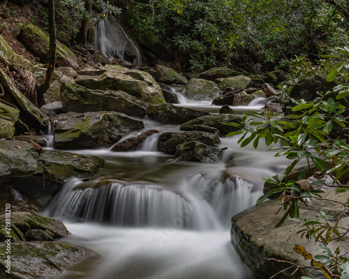 Mountain stream. 