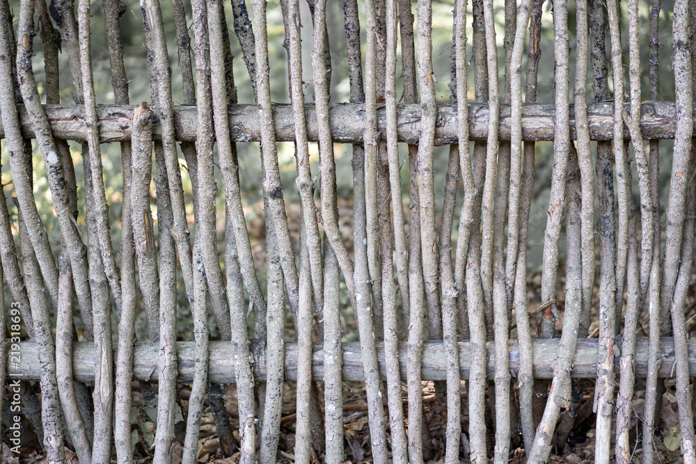 wall of willow twigs as background. Rural old fence, made from willow tree twigs and branches. wall of willow twigs as background. Rural old fence, made from willow tree twigs and branches.