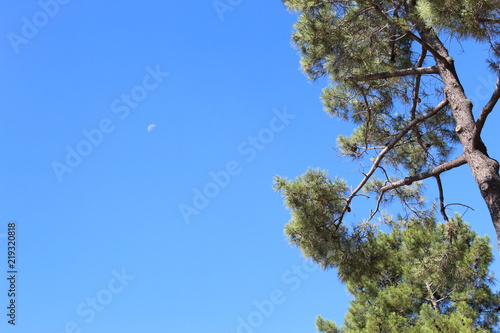 Lune et ciel bleu