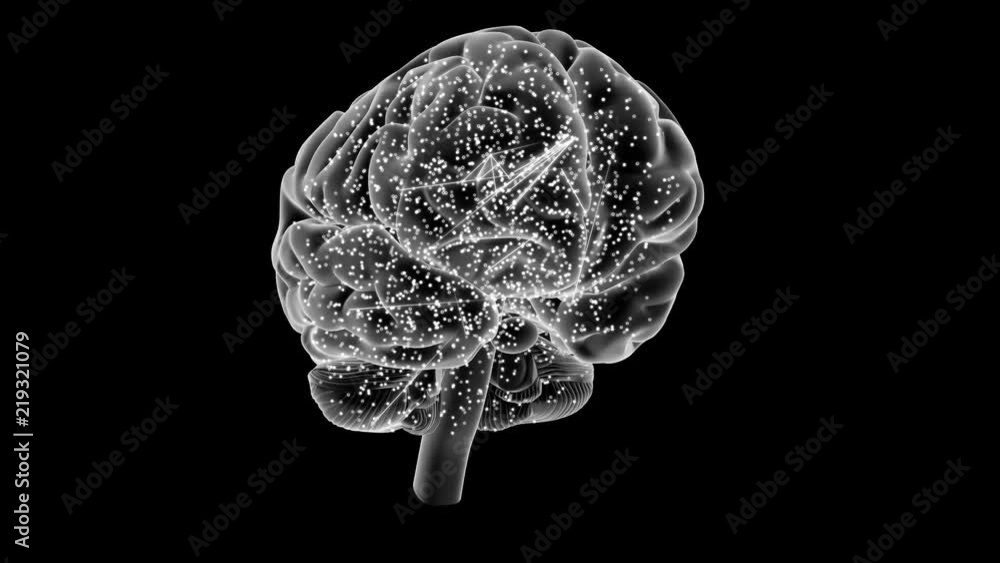 Artificial Intelligence Simulation.
Brain filled with on off circles which communicate with each other. Loops. Artificial Intelligence Simulation.
Brain filled with on off circles which communicate with each other. Loops.