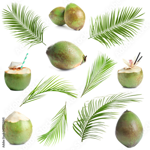 Set with fresh green coconuts, tropical palm leaves and drinks on white background