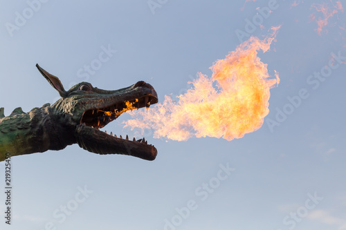 Dragon head with flames real photo portrait