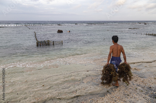 SUANA, INDONESIA - MAY 31: An unidentified man takes out nets to be washed off at a seaweed farm in Suana, Indonesia on May 31, 2017. photo