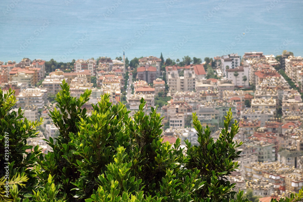  Panorama of the city. Numerous houses of the coastal city. The view from the height of bird flight.