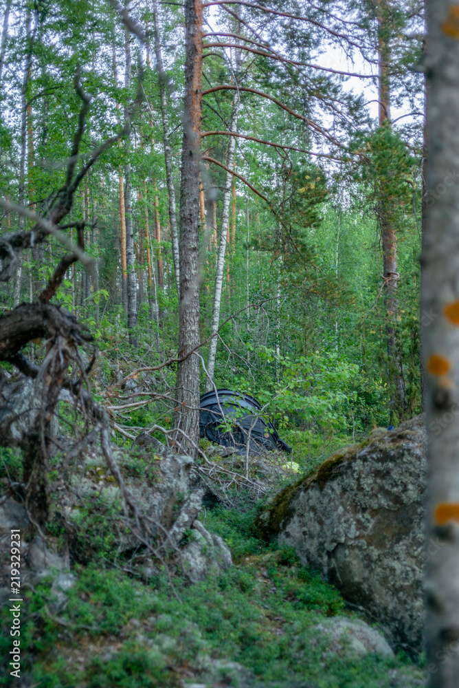 A lonely tent in the wild forest on the shore of the Saimaa lake in the Kolovesi National Park in Finland - 3 A lonely tent in the wild forest on the shore of the Saimaa lake in the Kolovesi National Park in Finland - 3