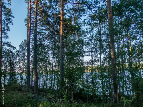 The Saimaa lake in the Kolovesi National Park in Finland seen through the trees on its shores - 1