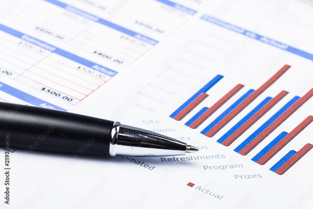 Pen on the Document with Graph - Close Up