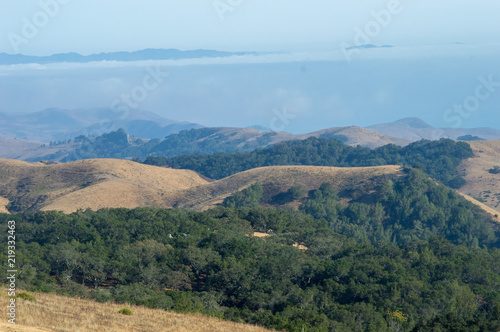 Misty Hilltop Views