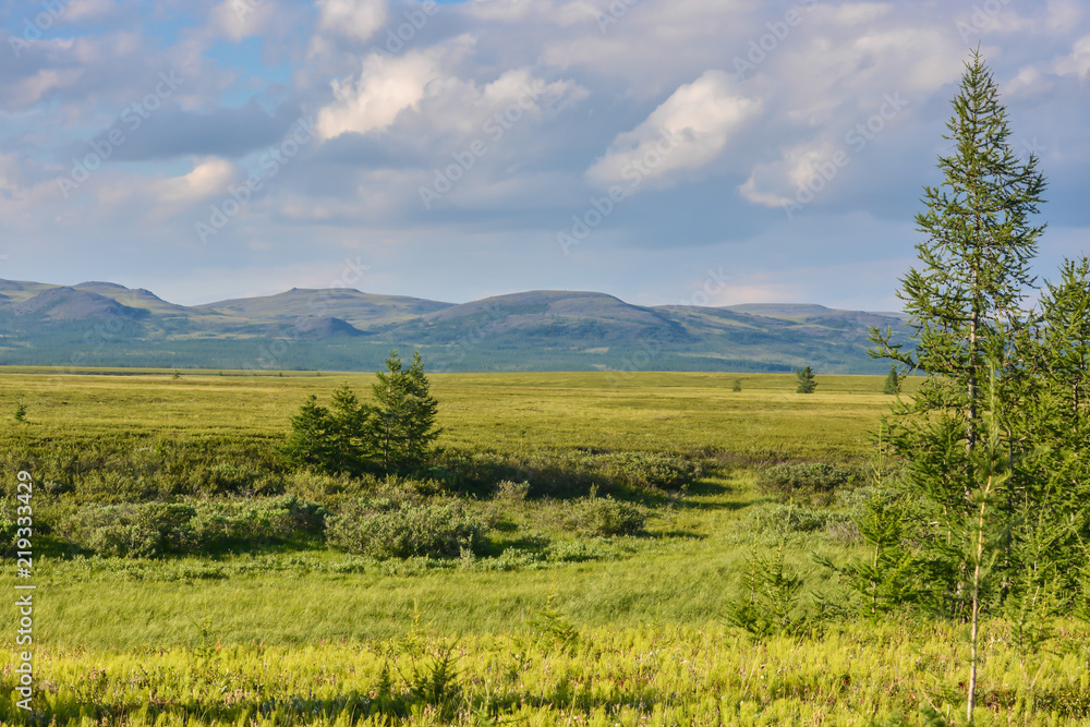 Fototapeta premium Foothill tundra.