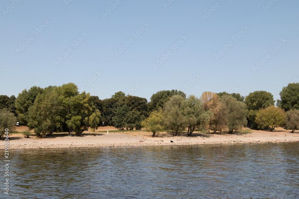 bäume und sand am rheinufer in köln deutschland fotografiert während einer bootstour auf dem rhein mit einem weitwinkelobjektiv bäume und sand am rheinufer in köln deutschland fotografiert während einer bootstour auf dem rhein mit einem weitwinkelobjektiv