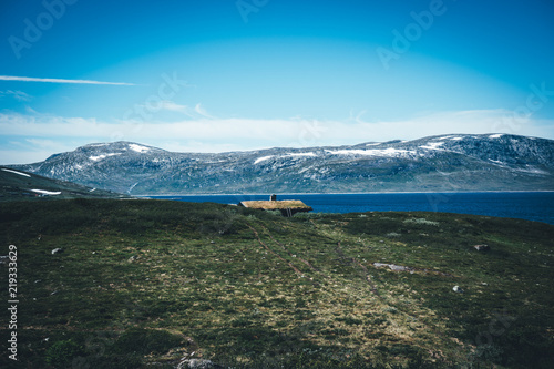 Jotunheimen National Park landscape in Oppland, Norway. Old traditional Norwegian huts on the coast of a mountain lake and a mountains at the background.