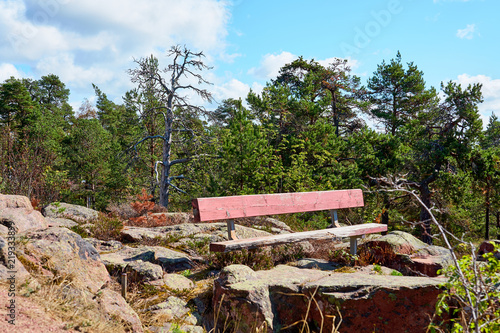 Wooden bench in sunshine on rocks with forest on a background.