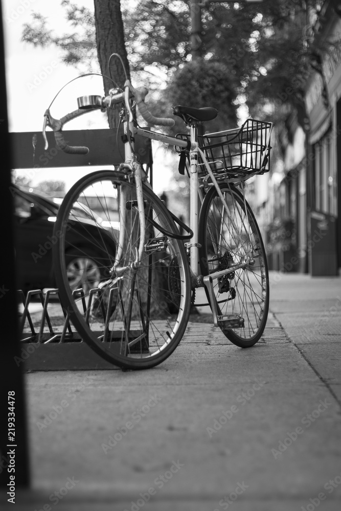 Obraz premium Bicycle Tree black and white