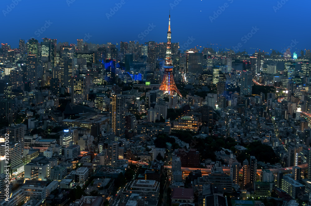 Vista nocturna de Tokyo, Japon