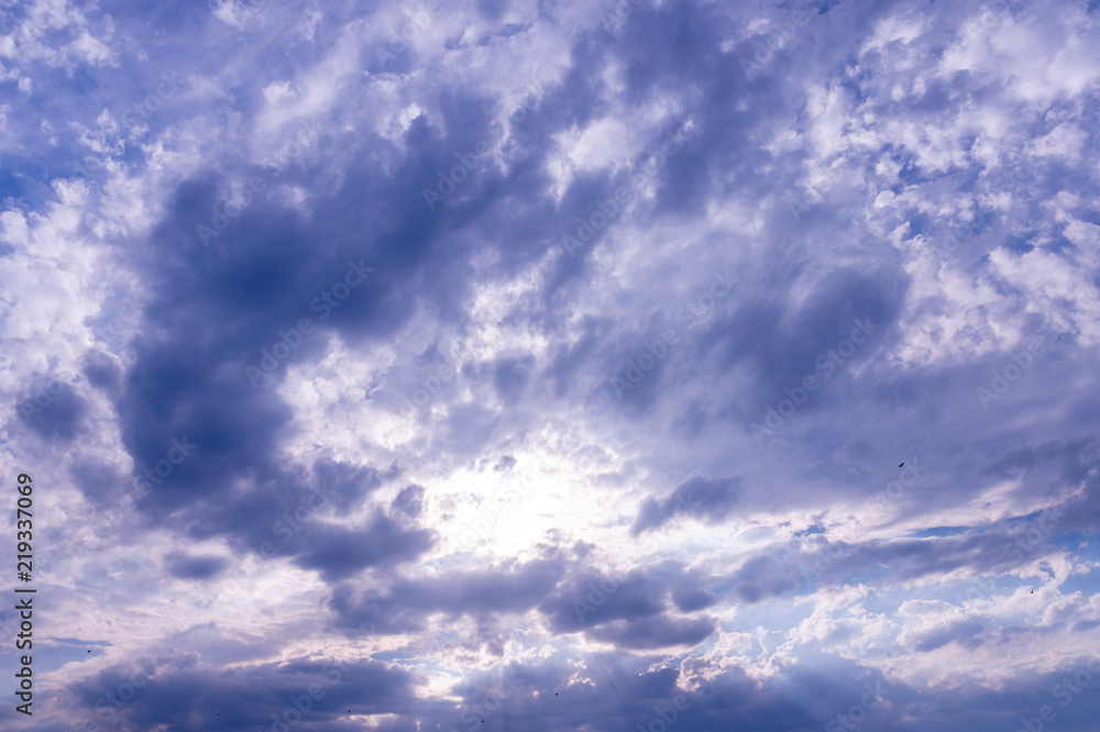 Obraz premium A flock of raven birds on a blue sky