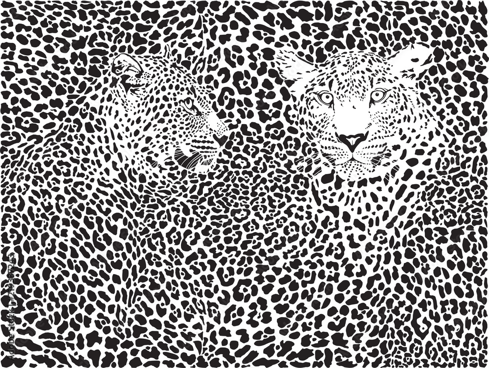 Obraz premium Leopard wzór tła