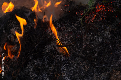 fire, burn a bunch of dry grass