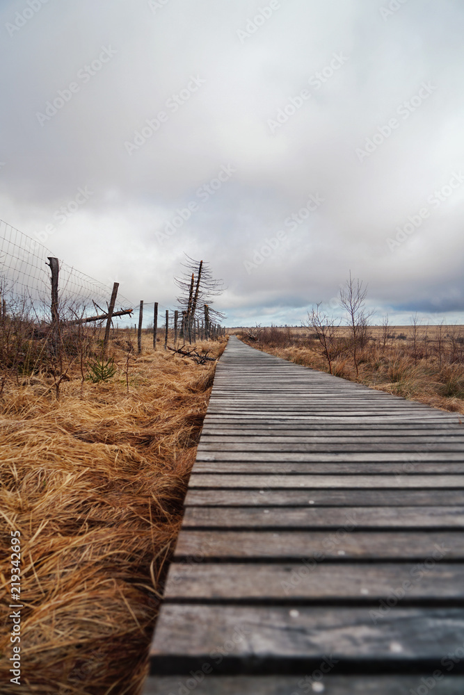 Fototapeta premium catwalk in high fens