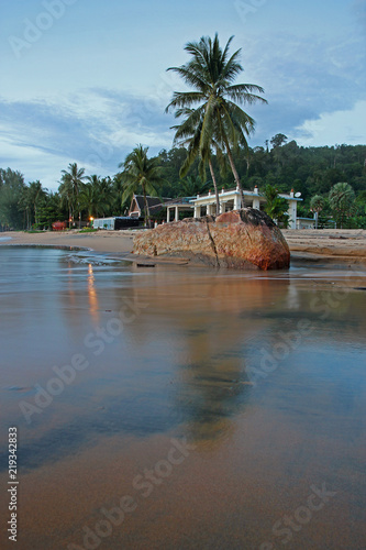 palms at the beach of khao lak photo