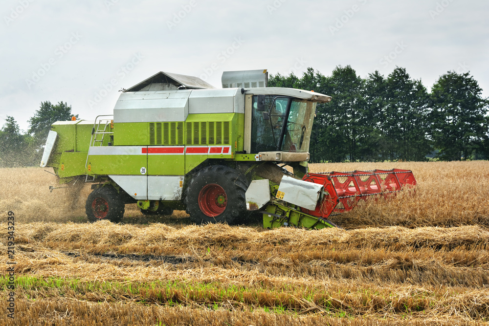Obraz premium Kombajn zbożowy podczas pracy na polu