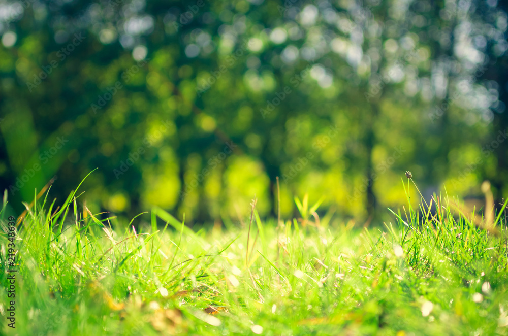 Abstract natural backgrounds Abstract natural backgrounds