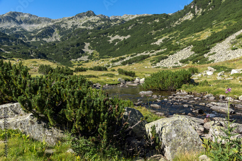 Amazing landscape of Banderitsa river, Pirin Mountain, Bulgaria