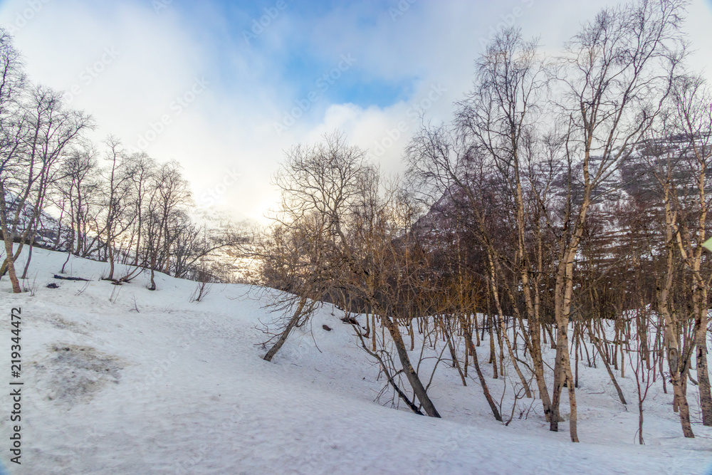 Fototapeta premium Norwegian fjord
