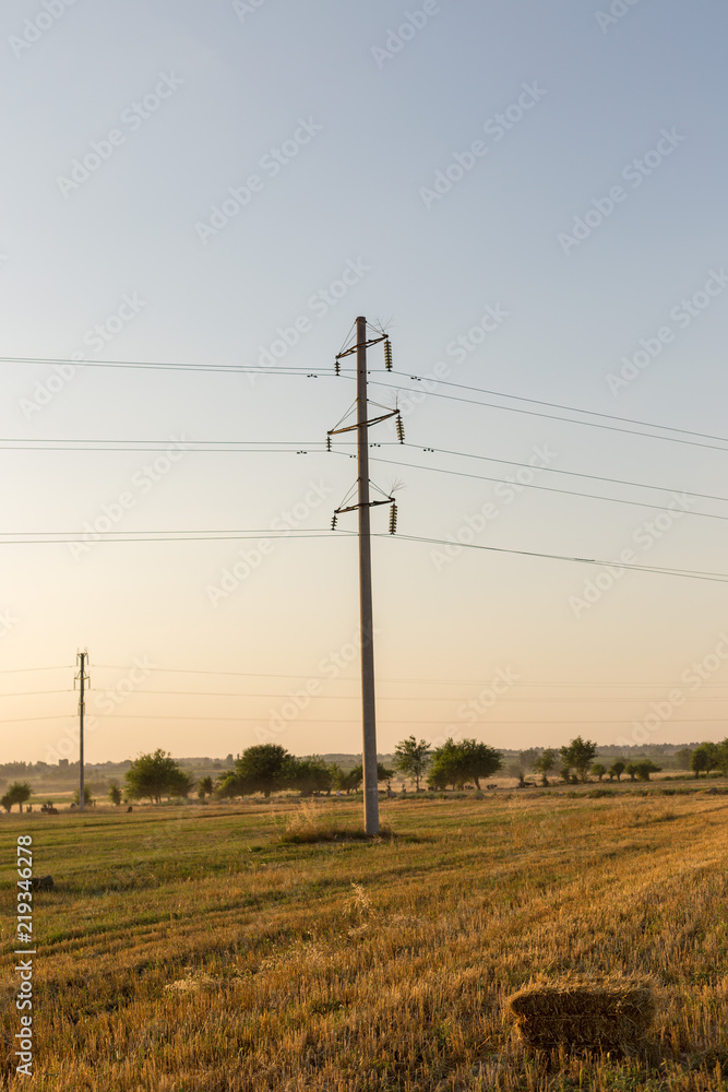 Straw on the field and electric pole Straw on the field and electric pole