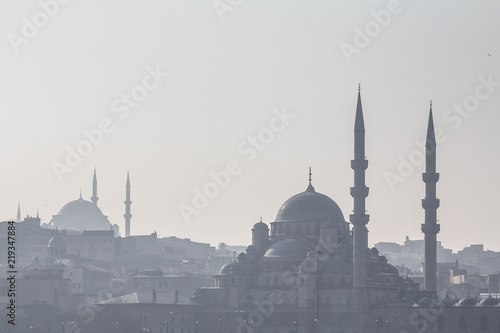 Shapes of the mosques of Sultanahmet (or Blue Mosque) and Eminonu in the shadow, in Istanbul, with the cupolas and minarets visible in the foreground