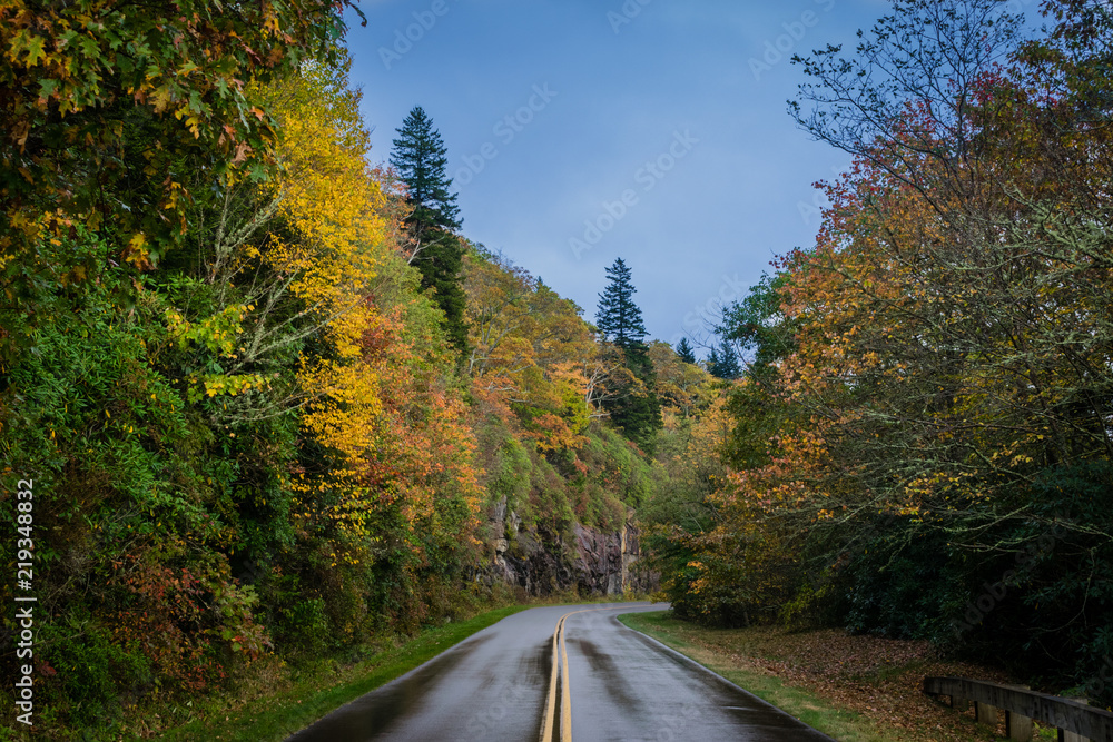 Fototapeta premium Blue Ridge Fall 3