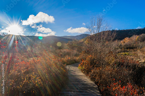 Graveyard Fields 3