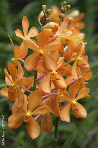 Canvas Print singapore