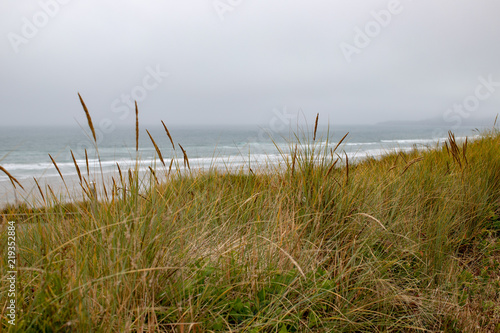 view of fog over the pacific ocean from the dunes in Nye Beach Newport Oregon USA