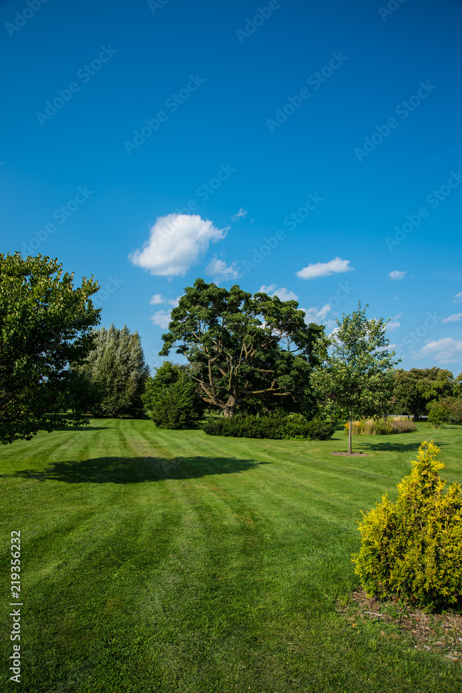 Obraz premium Experimental Farm