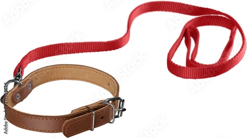 Dog Collar with Leash Isolated