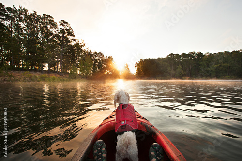 Canvas Print Kayaking Puppy