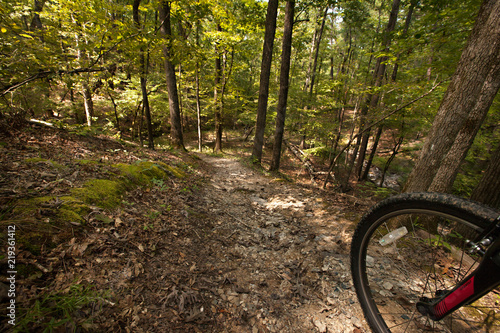 Single Track