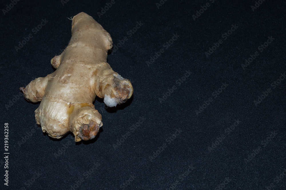 large piece of spoiled ginger food with mold large piece of spoiled ginger food with mold