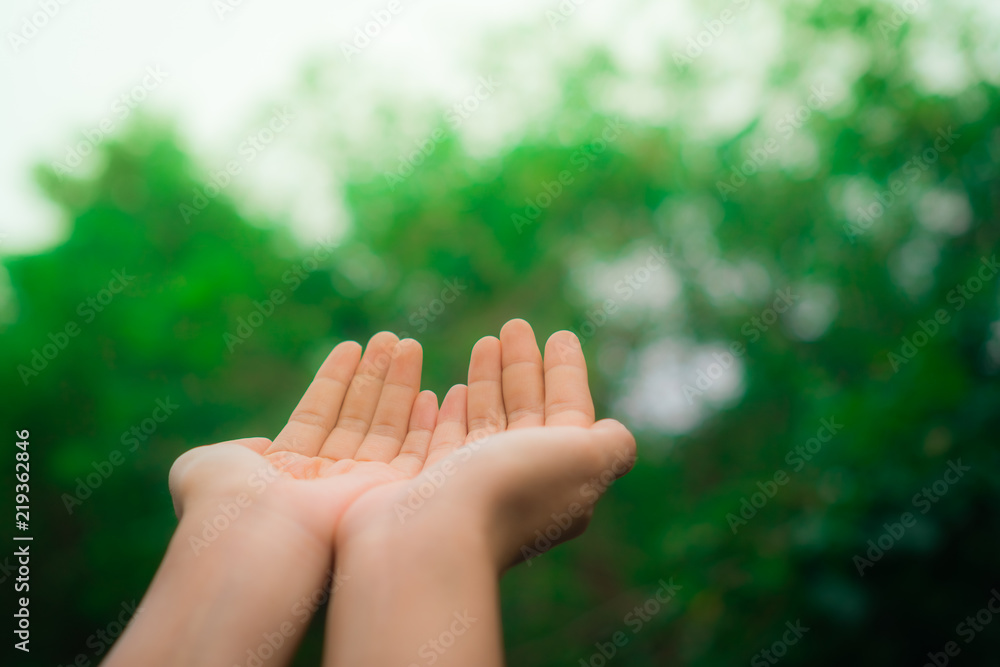 Woman hands place together like praying in front of nature green background. Woman hands place together like praying in front of nature green background.