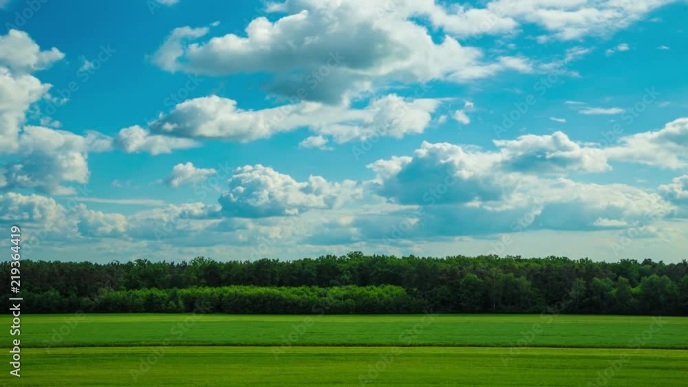 Green filed, trees on the horizon under blue cloudy sky Time lapse, Very smooth, no birds, no flicker Green filed, trees on the horizon under blue cloudy sky Time lapse, Very smooth, no birds, no flicker