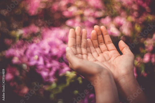 Woman hands place together like praying in front of nature green background.