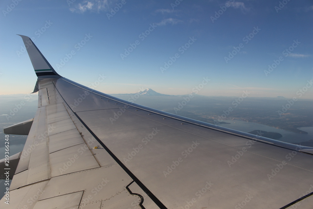 Fototapeta premium On the Wing