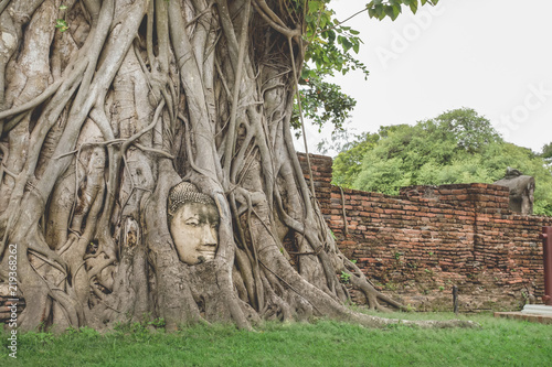 The Buddha Head statue trapped in Bodhi tree, Ayutthaya