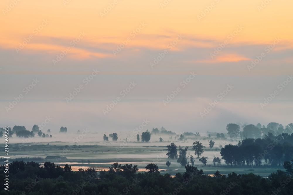Mystic view on forest under haze at early morning. Mist among tree silhouettes under predawn sky. Gold light reflection in water. Calm morning atmospheric minimalistic landscape of majestic nature. Mystic view on forest under haze at early morning. Mist among tree silhouettes under predawn sky. Gold light reflection in water. Calm morning atmospheric minimalistic landscape of majestic nature.