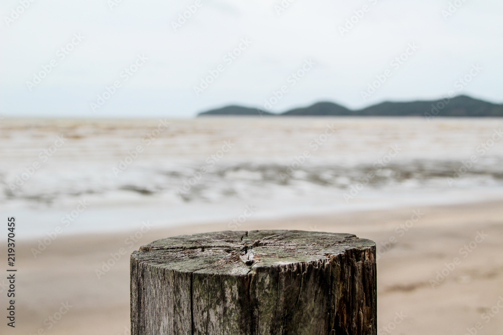 Naklejka premium Wood background for past product and sea background 