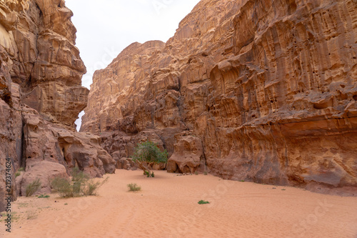 Tablou pe pânză Canyon in Wadi Rum desert, Jordan