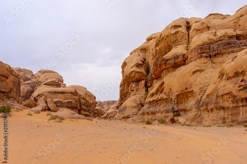 Landscape in Wadi Ruma desert, Jordan