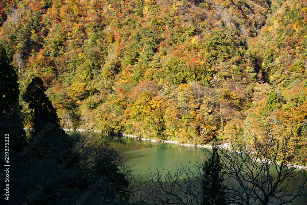 Autumn leaves around the World Heritage Gokayama.  世界遺産五箇山周辺の紅葉　富山県南砺市